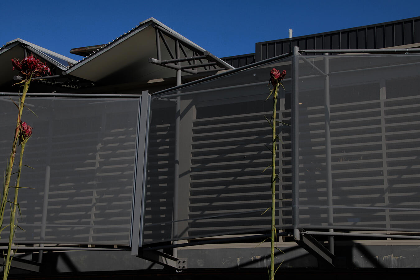 Shellharbour Workers Club